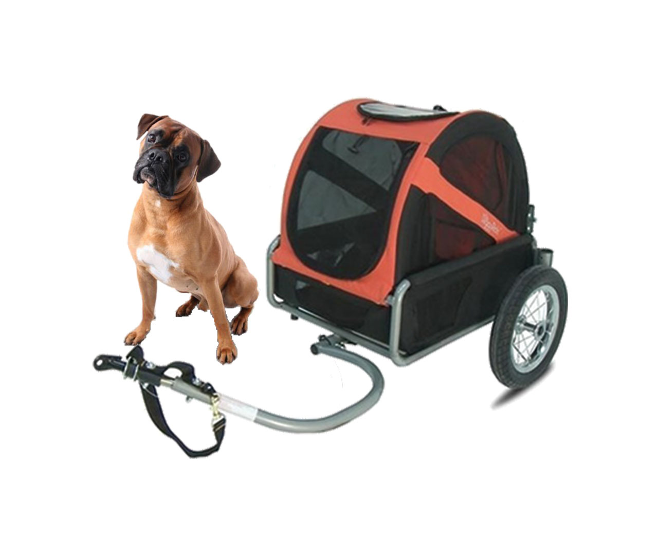 Bike trailer - for dogs - Velos 17 Loisirs