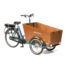 Triporteur BAKFIETS à assistance électrique