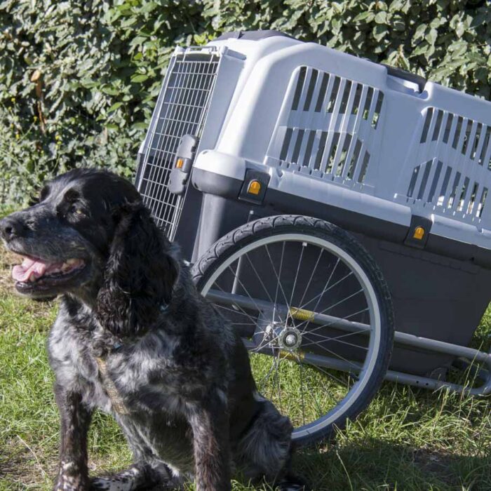 Dog-Trailer_©VELOS17LOISIRS_2022_10