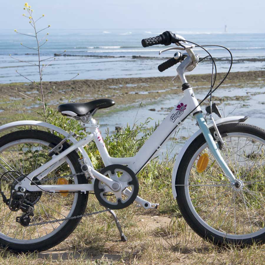 Vélo Enfant 14 Pouces 4-6 Ans Flappy à Prix