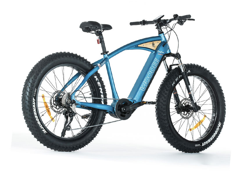 Fat bike électrique en location sur l'île d'Oléron