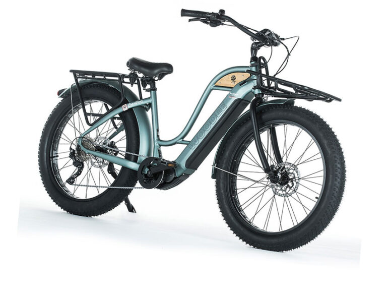 location de vélo fat bike ile d' Oléron