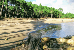 Plage de gatseau