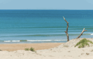 Plage des huttes