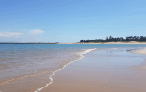 Plage des saumonards