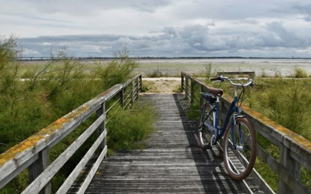 velos17: les bienfaits du cyclisme oléron