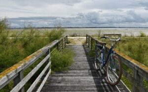 velos17: les bienfaits du cyclisme oléron