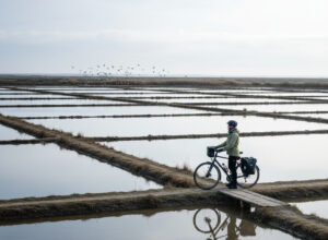 Explorer les marais de l'Oléron en hiver : un circuit cycliste unique